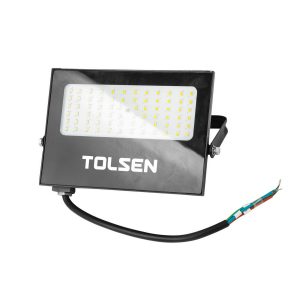 60080 LUZ DE PROYECTO LED 30W